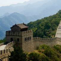 Как SOA выручила \