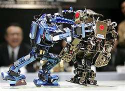 Japan's robots slug it out to be world champ