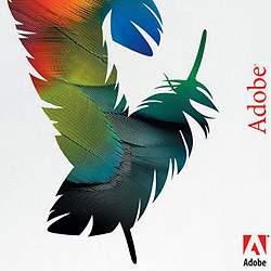 Adobe profit up 21 pct on sales of design software