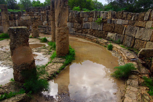 Античное городище Саламис. Развалины общественного туалета