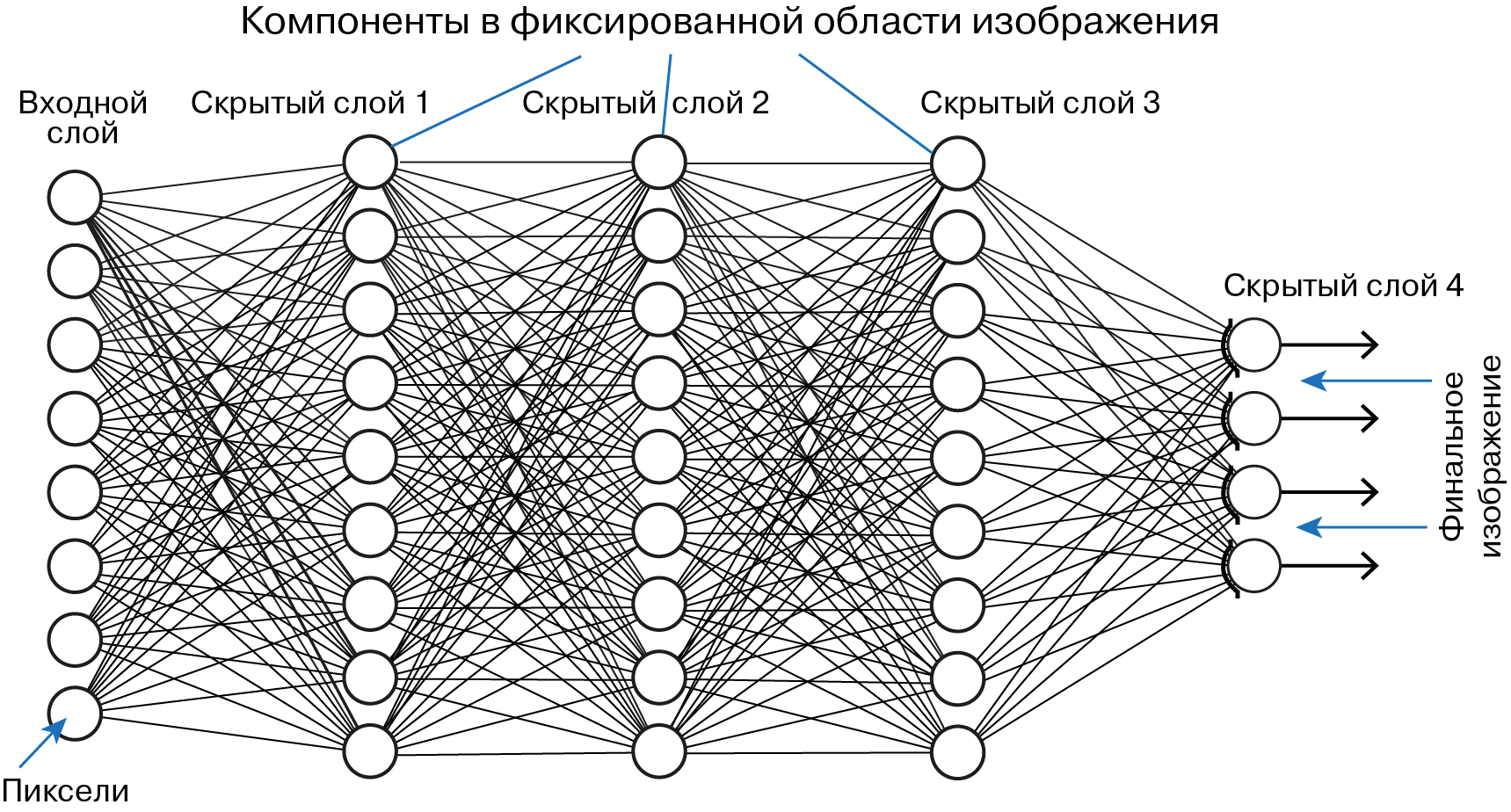 Плотный сеть