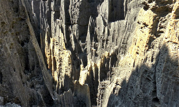 Каменный лес