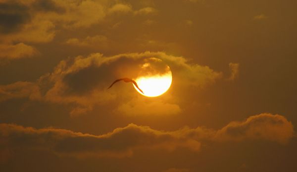 Рассвет над Тихим океаном Рассвет над Тихим океаном