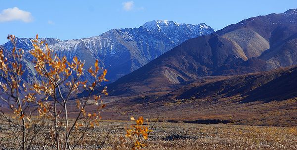 Осень в Денали Осень в Денали