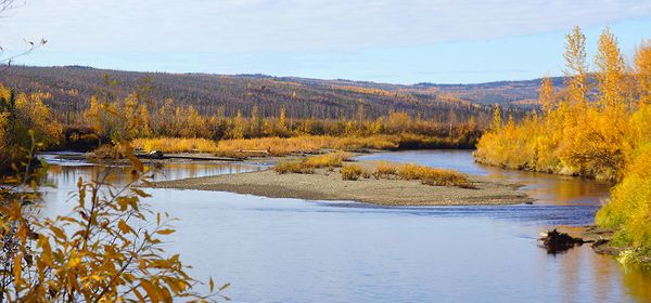 Река, впадающая в Юкон