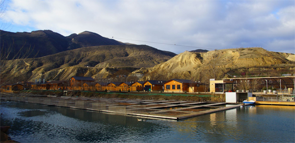 Форелевая ферма