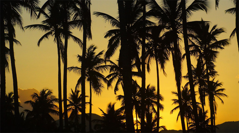 Вечер в тропиках Вечер в тропиках