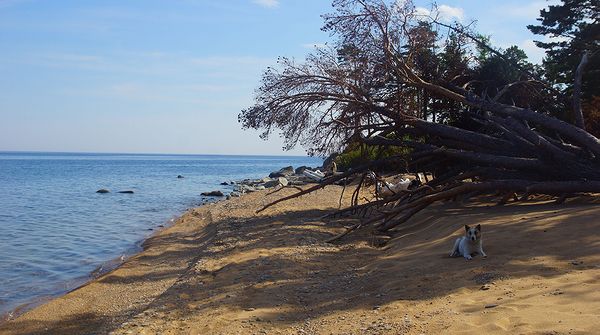 Берег Байкала Берег Байкала