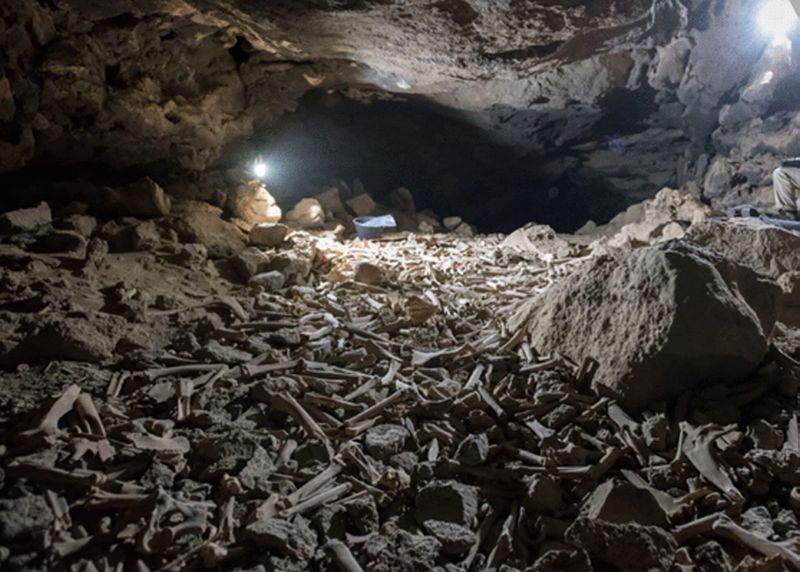 Фото из отчета немецкой экспедиции 2021 г. Фото из отчета немецкой экспедиции 2021 г.