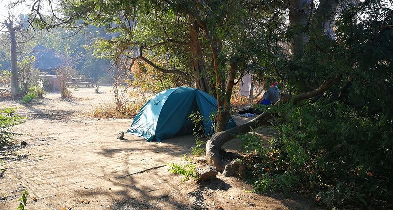 Наша палатка под баобабои