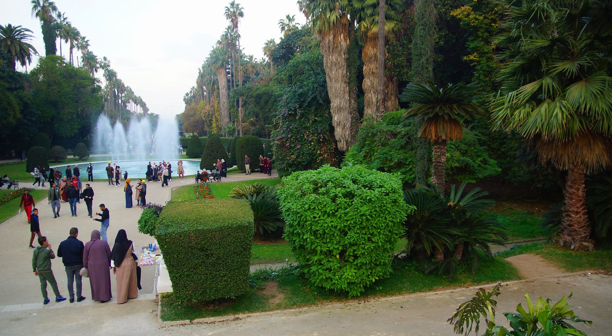 Ботанический сад