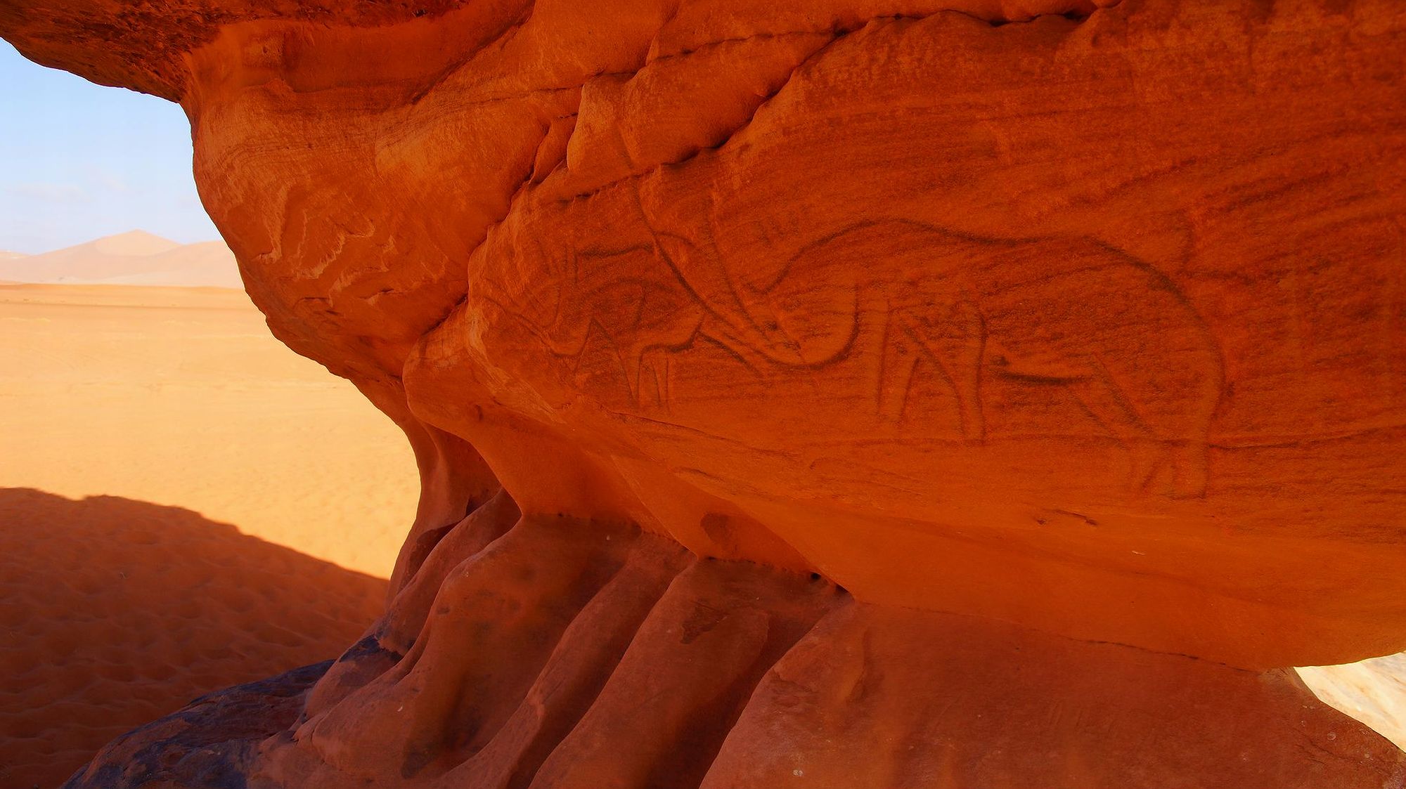 Наскальные рисунки носорогов