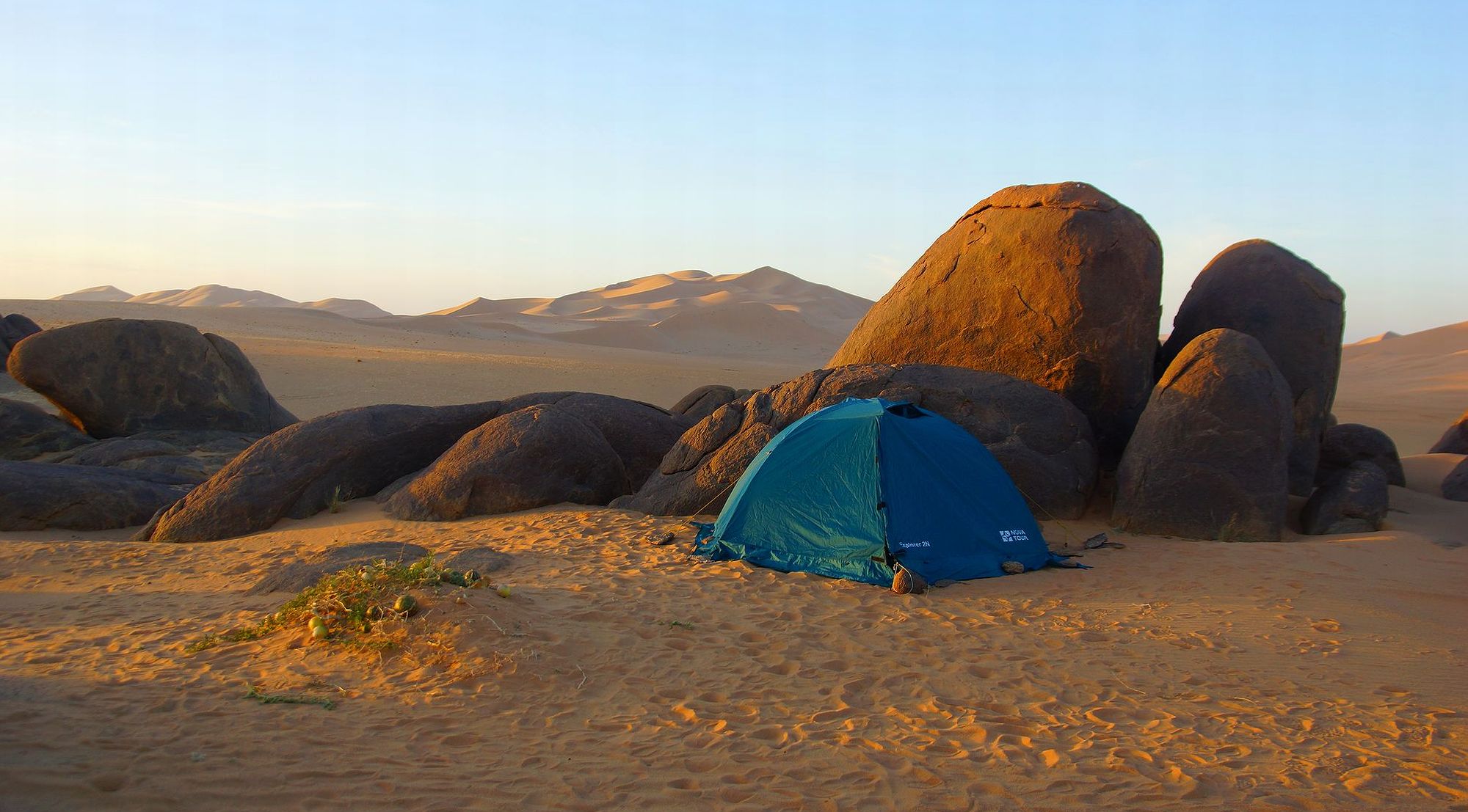 Лагерь в пустыне Лагерь в пустыне