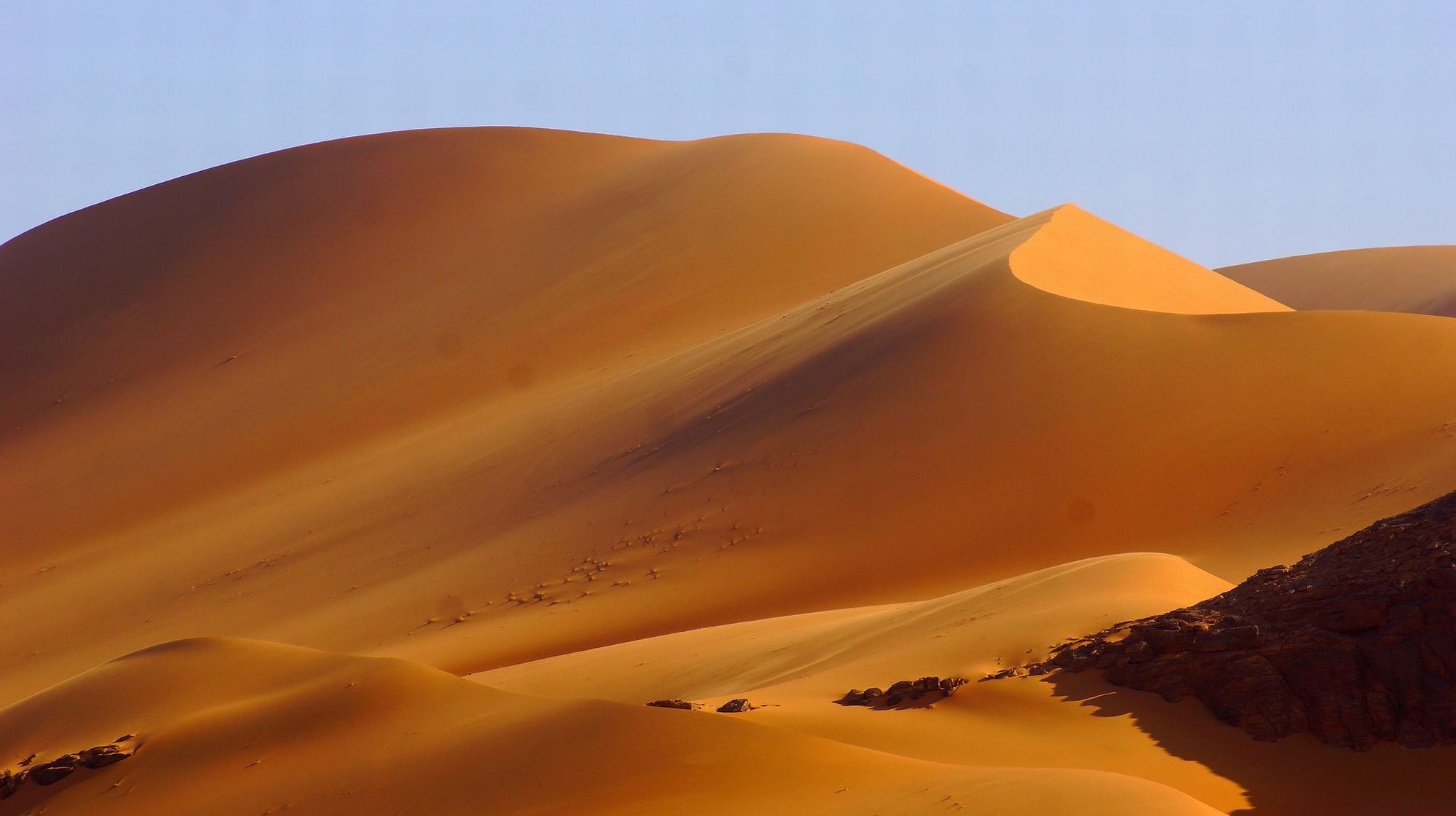 Эрг Эдмер Эрг Эдмер