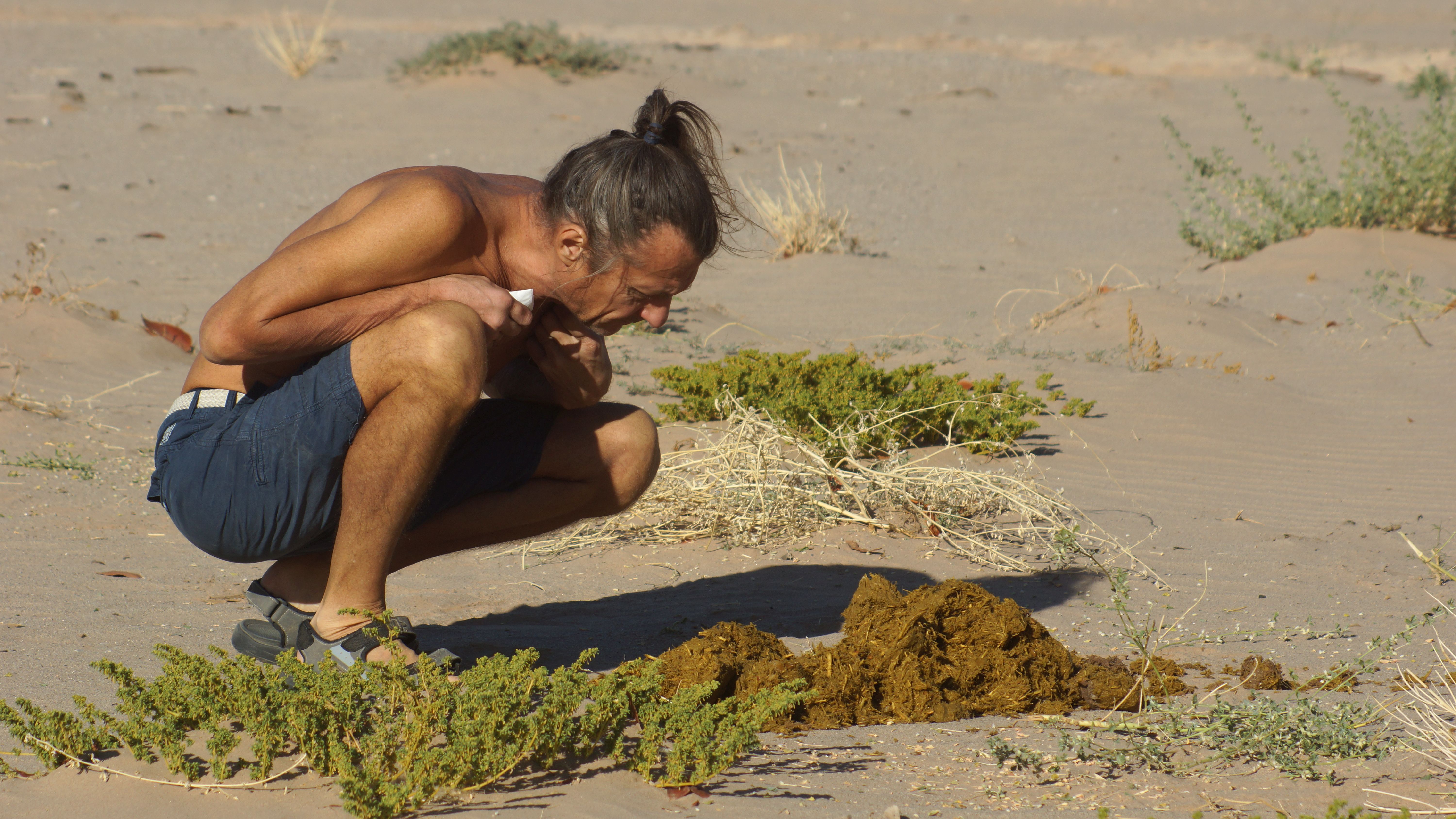 Исследуем следы пустынных слонов