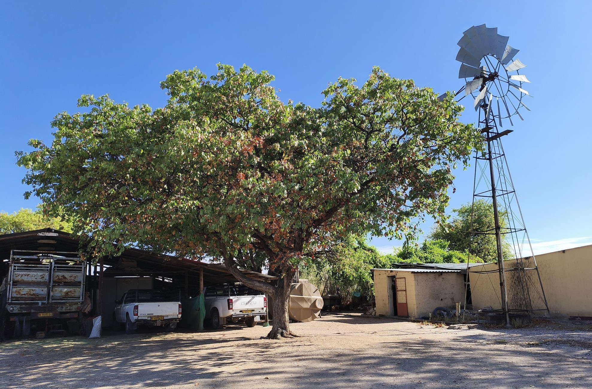 Намибийское ранчо