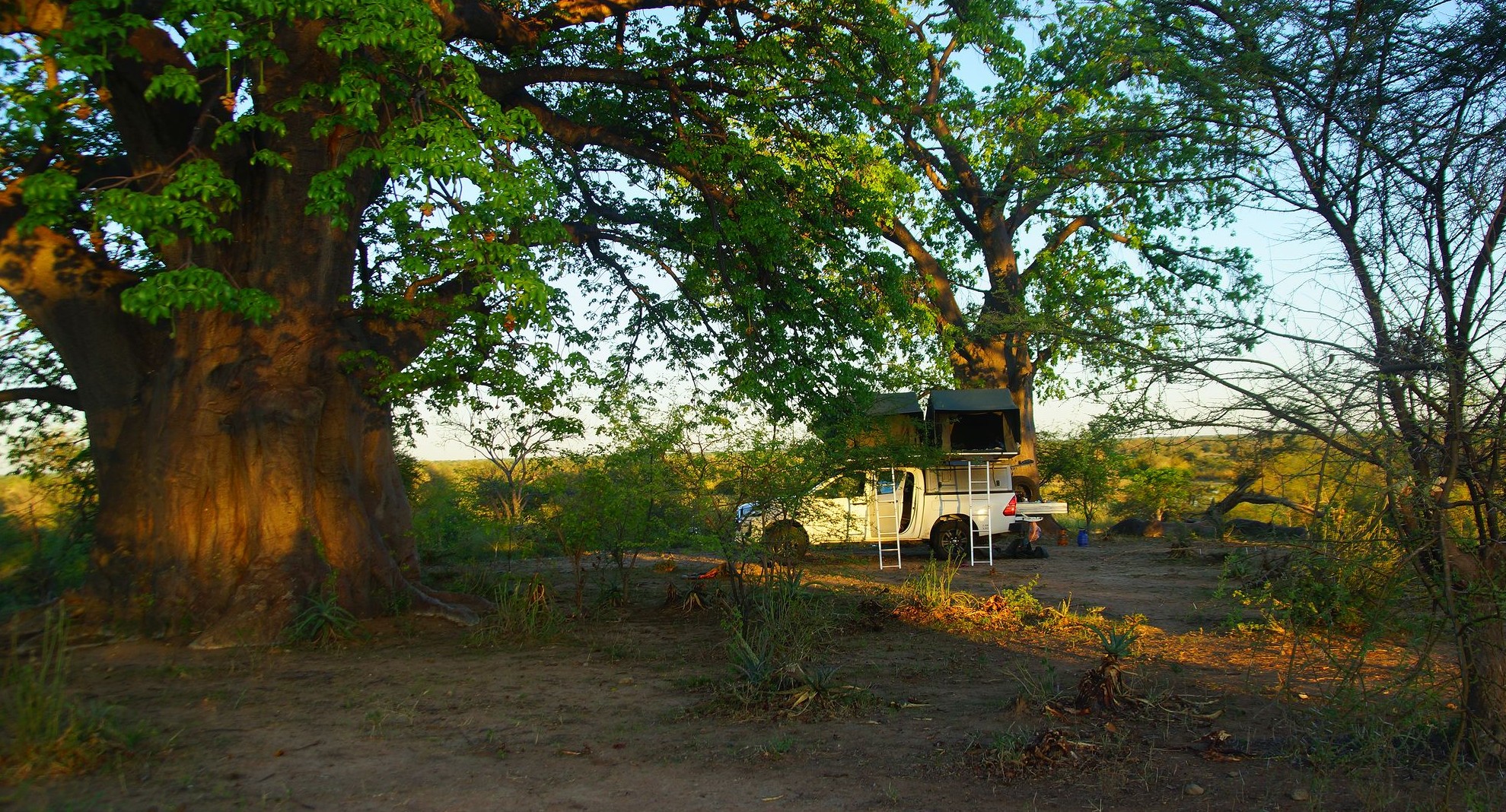 Наш лагерь под баобабом