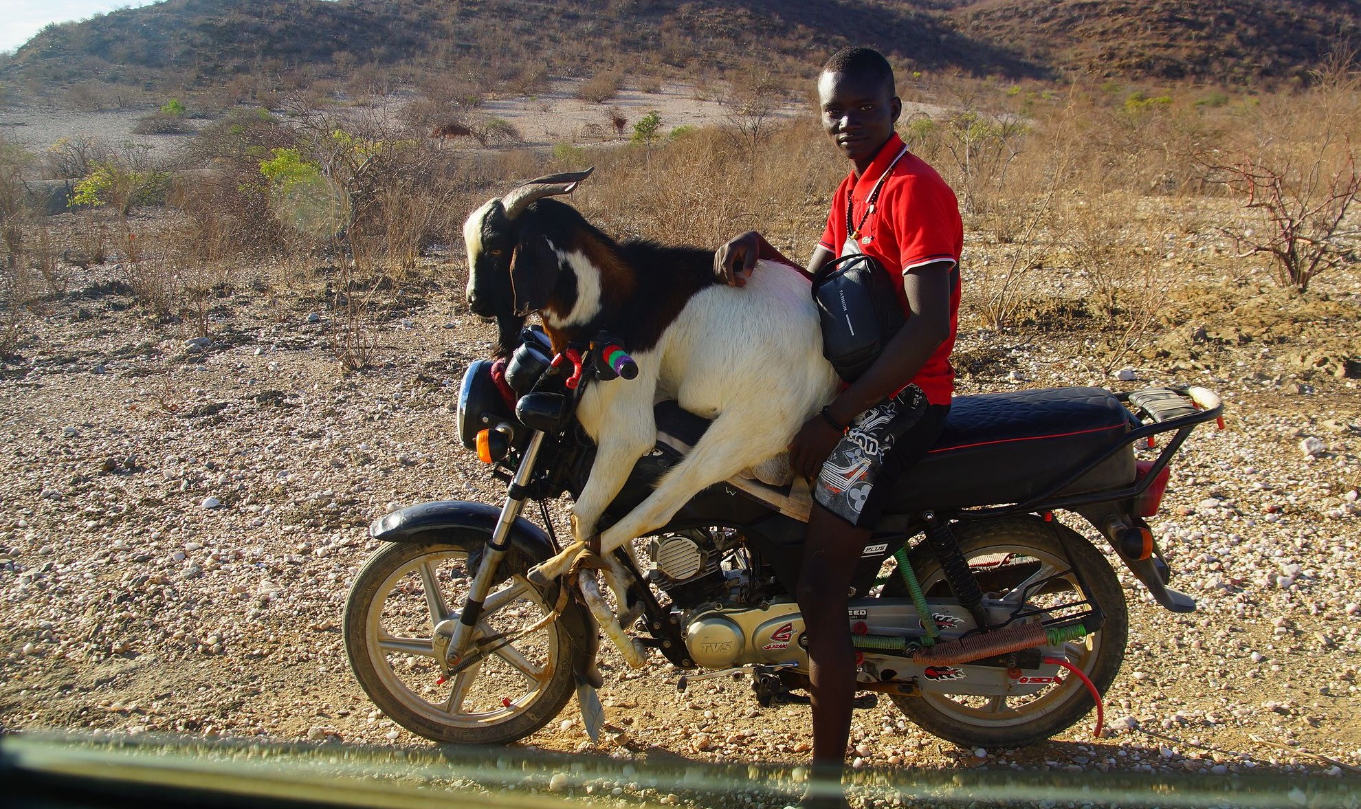 Местный байкер с козой Местный байкер с козой