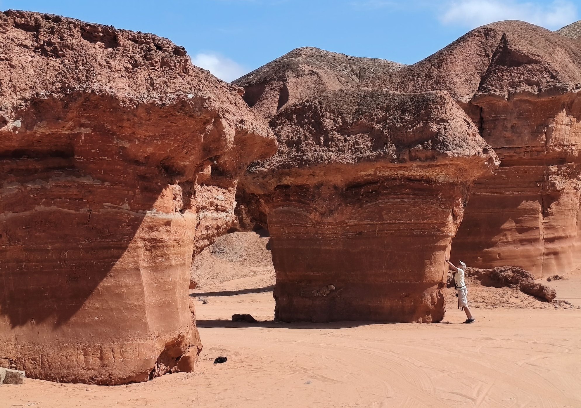 Каменные грибы Каменные грибы