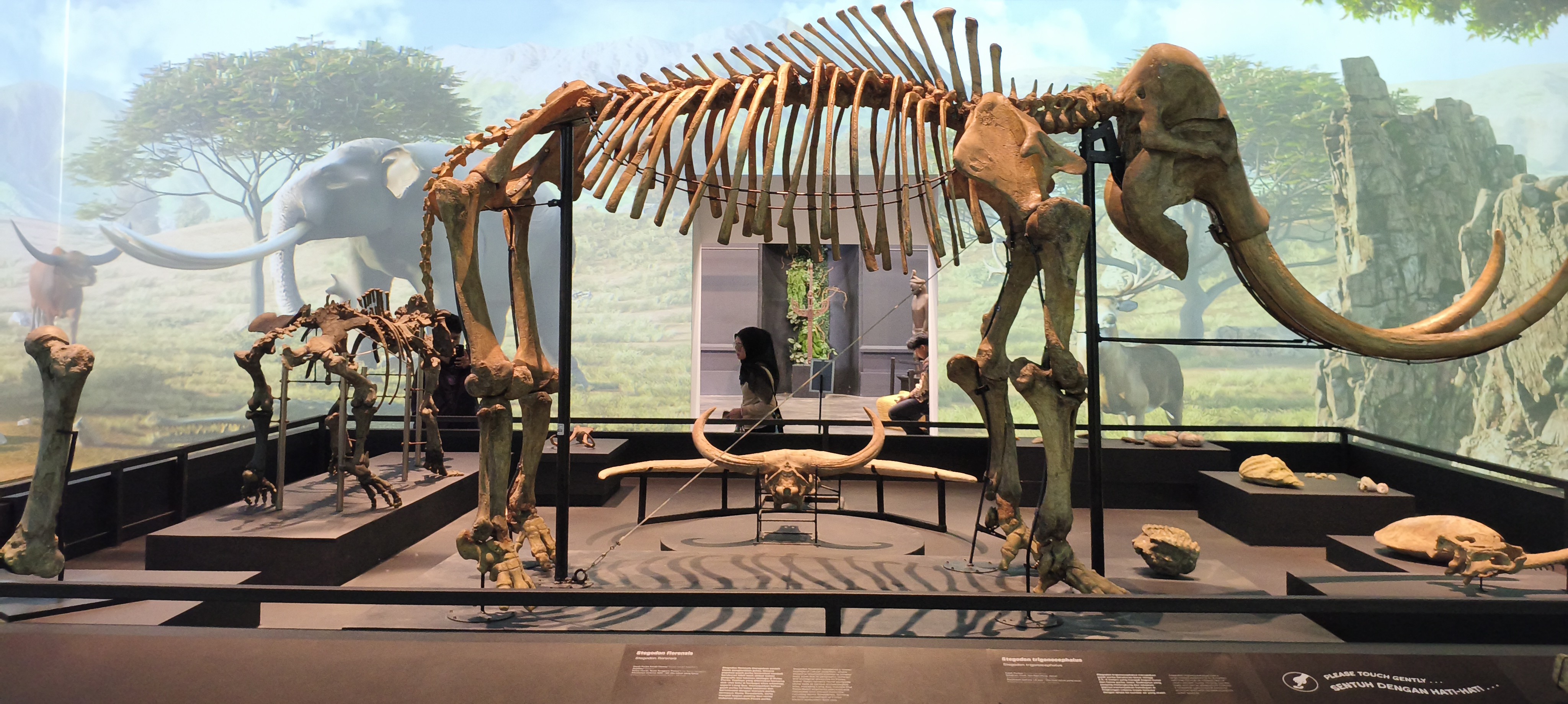 В Национальном музее Индонезии